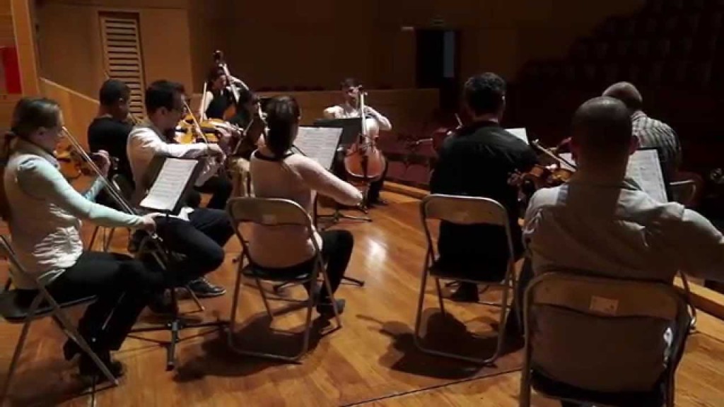 Concierto de la Orquesta Camerata de Gran Canaria 
